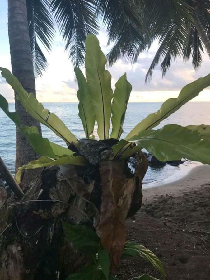 Sina Pj Beach Fales And Surf Hotel Apia Exterior photo