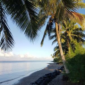 Sina Pj Beach Fales And Surf Hotel Apia Exterior photo